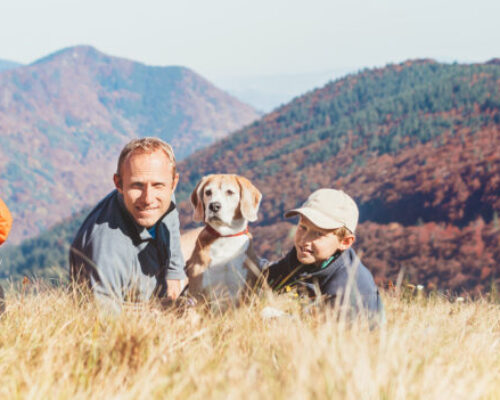 hiking with dog